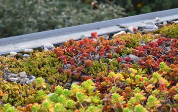 the cost of Kellington green roof installation