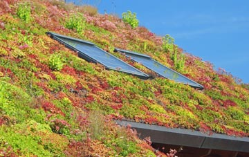 Kellington living roof systems