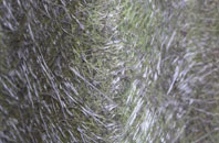 Kellington fibreglass roof work